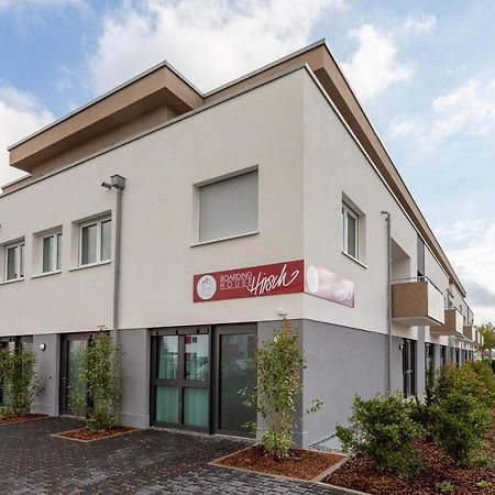 Boardinghouse Hirsch - Apartments In Kork Kehl Exterior photo
